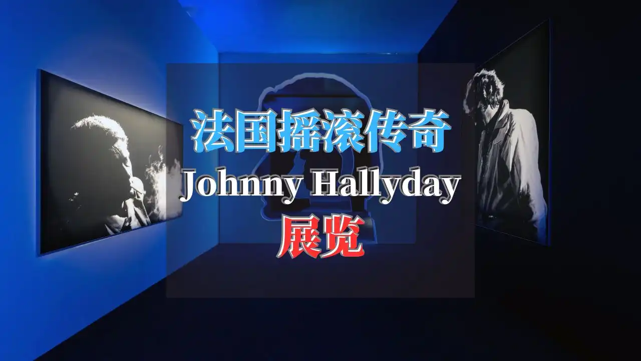 johnny hallyday 展览